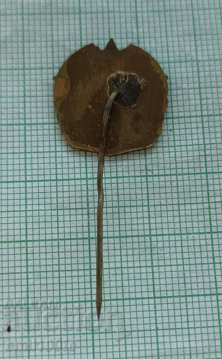 Delivery of Badge - BGTO Delivery of Badge - BGTO