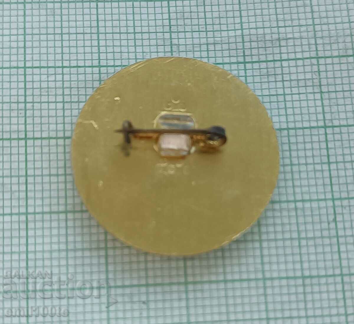 Badge - 1300 years Bulgaria BDZ - 5 Badge - 1300 years Bulgaria BDZ - 5