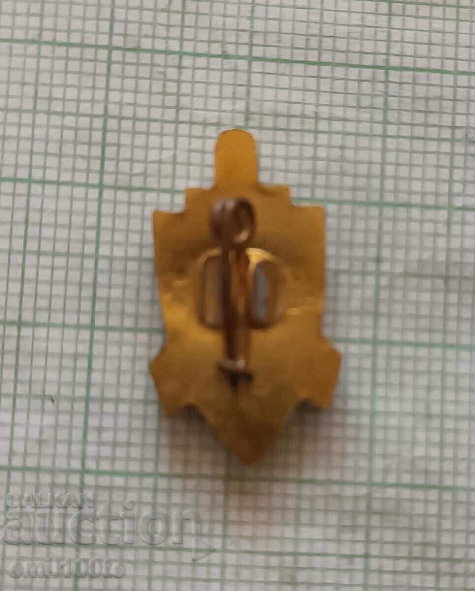 Delivery of Badge - MIA Delivery of Badge - MIA