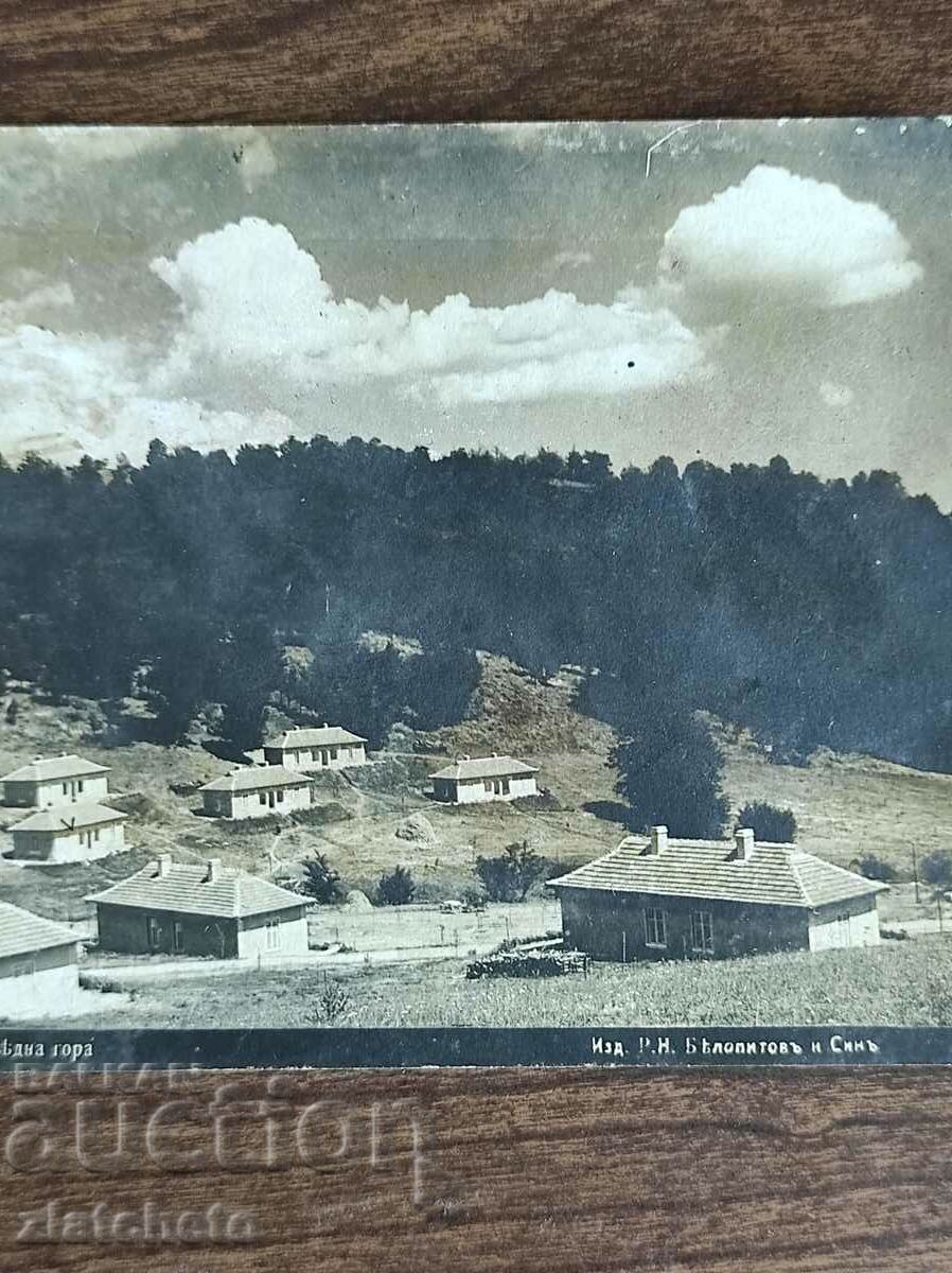 Auction Postcard Kingdom of Bulgaria - Auction Postcard Kingdom of Bulgaria -