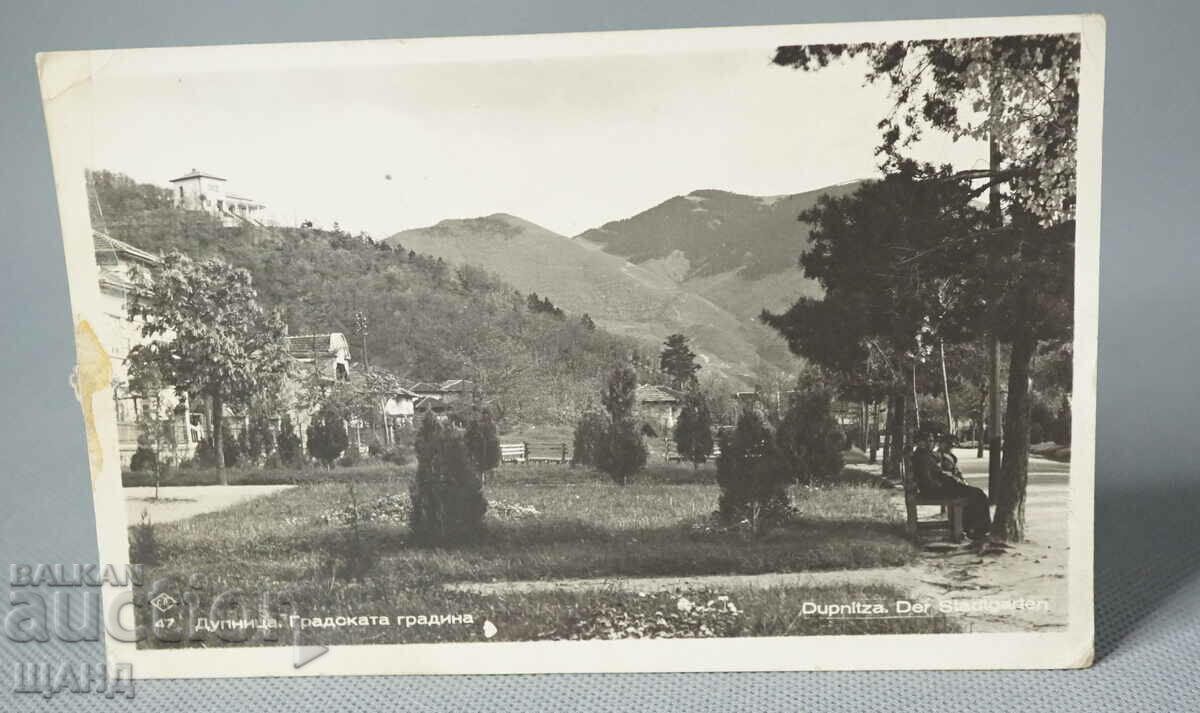 1945 Φωτογραφία καρτ ποστάλ Dupnitsa City garden Pask