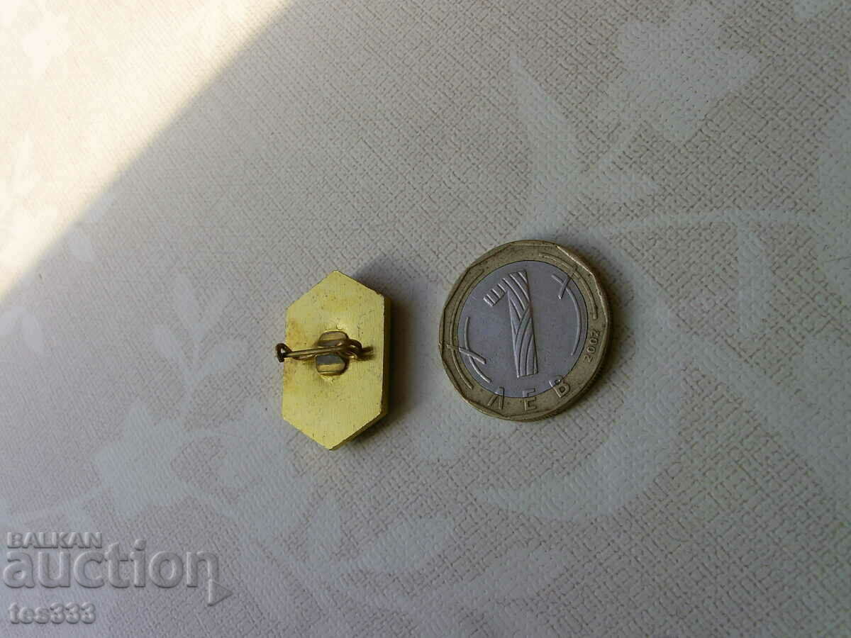 Доставка на Значка 50 години ЗШЗИ Малчика София 1939-1989 Доставка на Значка 50 години ЗШЗИ Малчика София 1939-1989