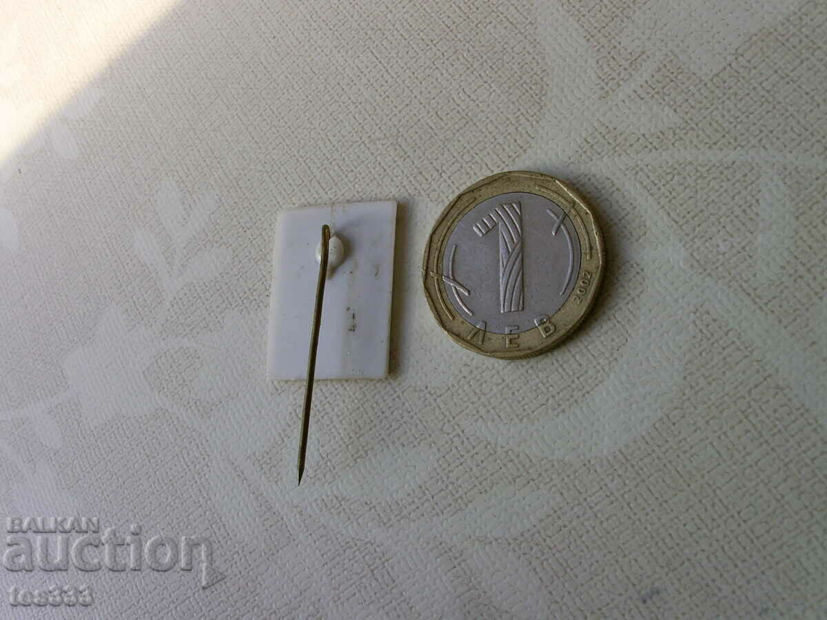 Delivery of Badge 30 years school V.Kolarov Delivery of Badge 30 years school V.Kolarov