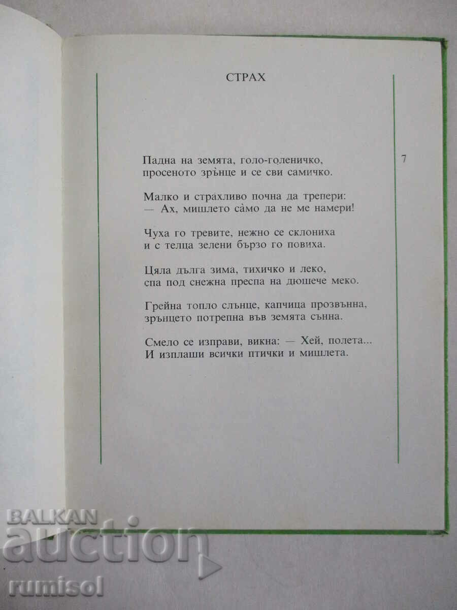 Auction We are grains - Iliya Burzhev Auction We are grains - Iliya Burzhev