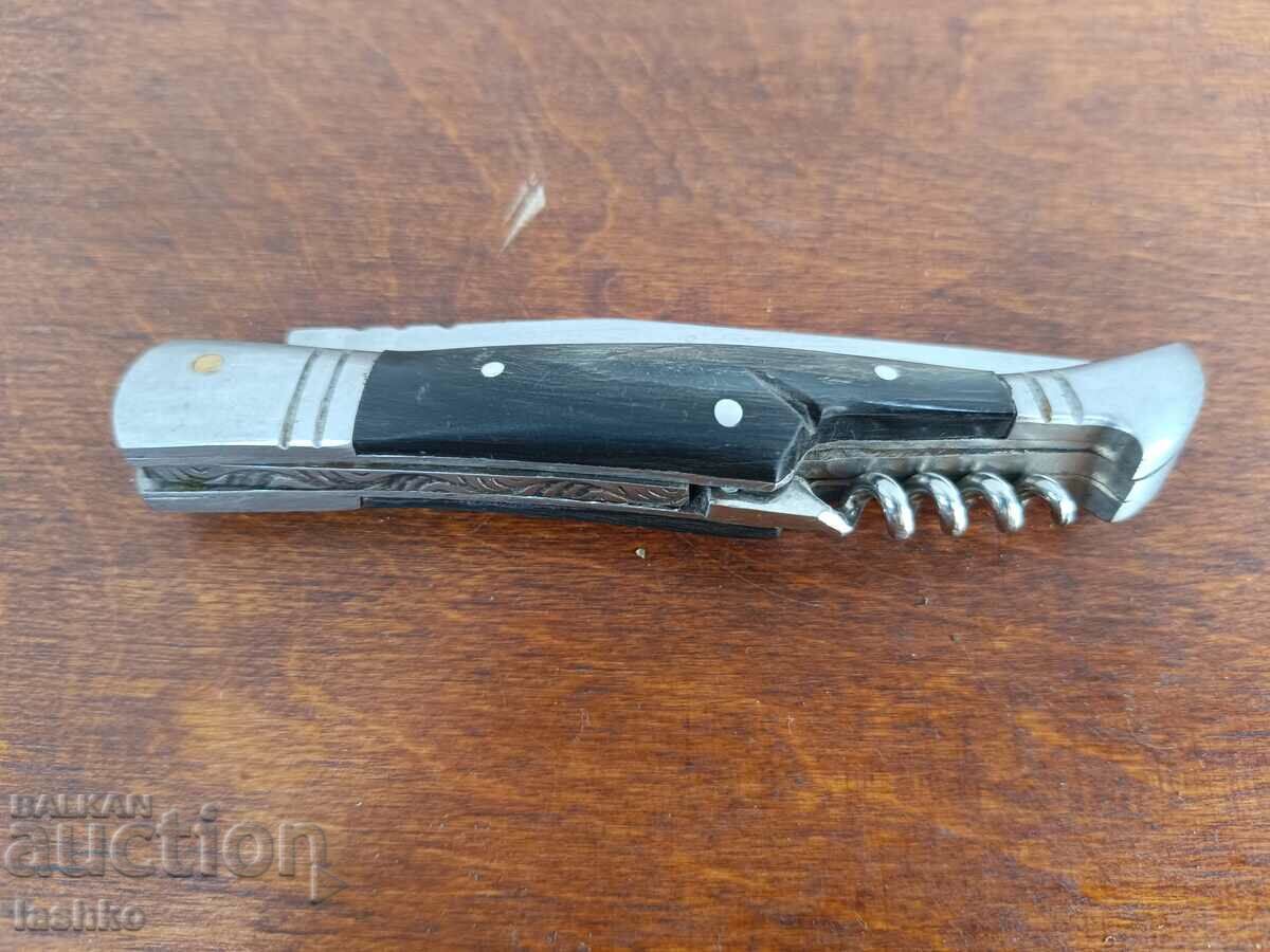 Delivery of PRADEL pocket knife