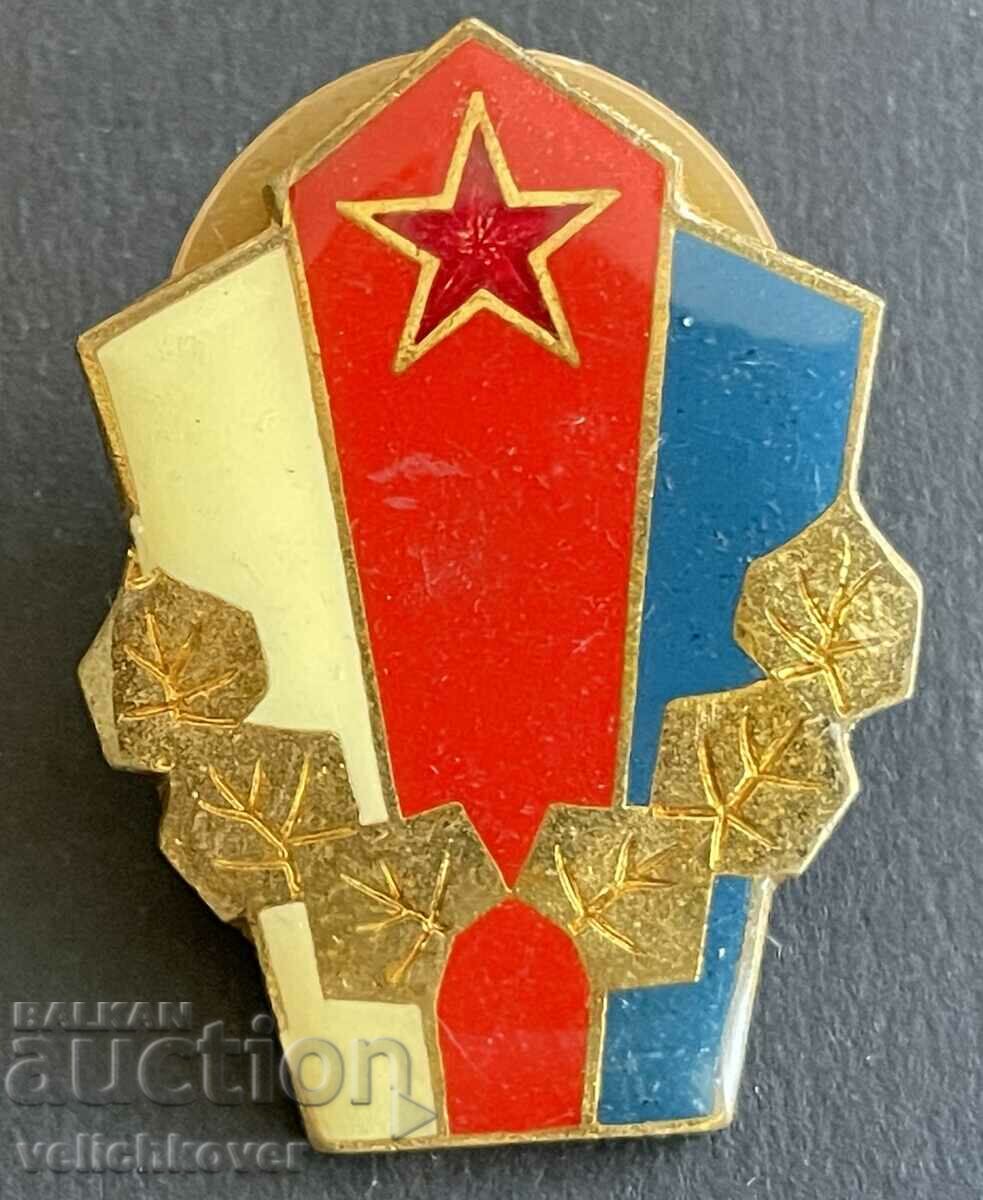 38995 Чехословакия военен награден знак 70-те г. На винт