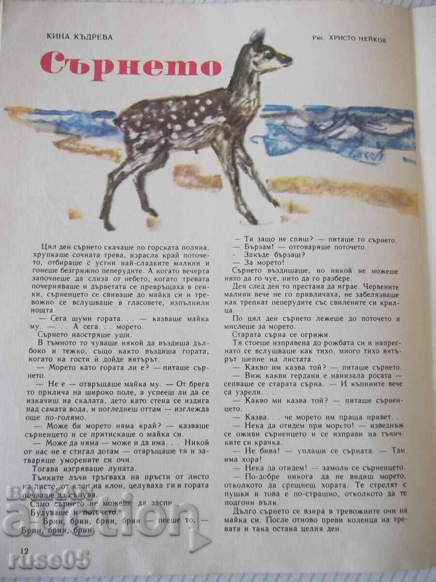 Delivery of Magazine "Druzhinka - booklet 3 - March 1966." - 16 pages Delivery of Magazine "Druzhinka - booklet 3 - March 1966." - 16 pages