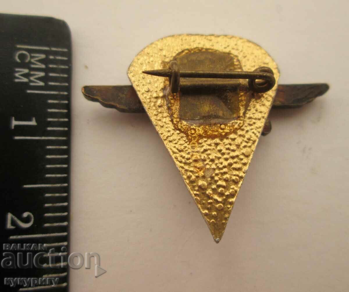 Delivery of Star Sots parachute badge parachute badge parachutist NRB