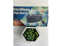 Chicony Wireless Keyboard and Mouse - New