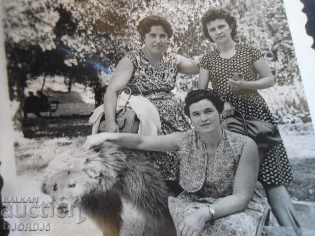 παλιά φωτογραφία με τιμή 0.50 BGN | € 0.26 παλιά φωτογραφία με τιμή 0.50 BGN | € 0.26