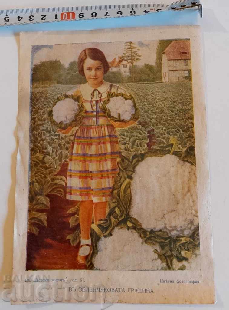 , OLD ROYAL ILLUSTRATION PICTURE POSTER with price 7.00 BGN | € 3.58 , OLD ROYAL ILLUSTRATION PICTURE POSTER with price 7.00 BGN | € 3.58