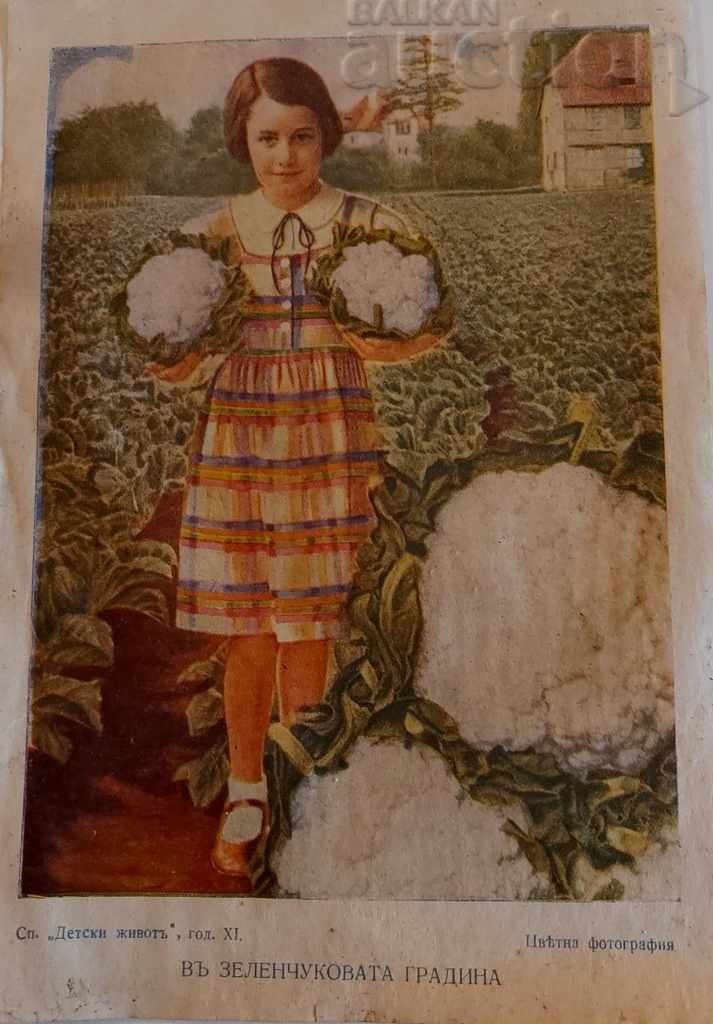 Auction , OLD ROYAL ILLUSTRATION PICTURE POSTER Auction , OLD ROYAL ILLUSTRATION PICTURE POSTER