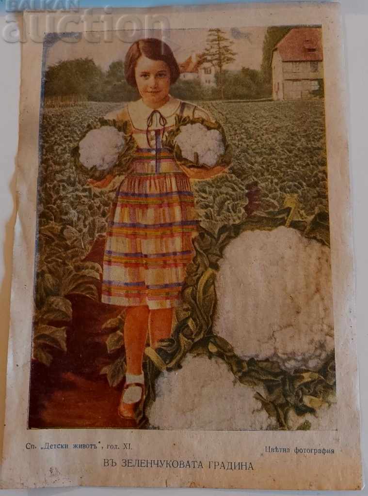 , OLD ROYAL ILLUSTRATION PICTURE POSTER , OLD ROYAL ILLUSTRATION PICTURE POSTER