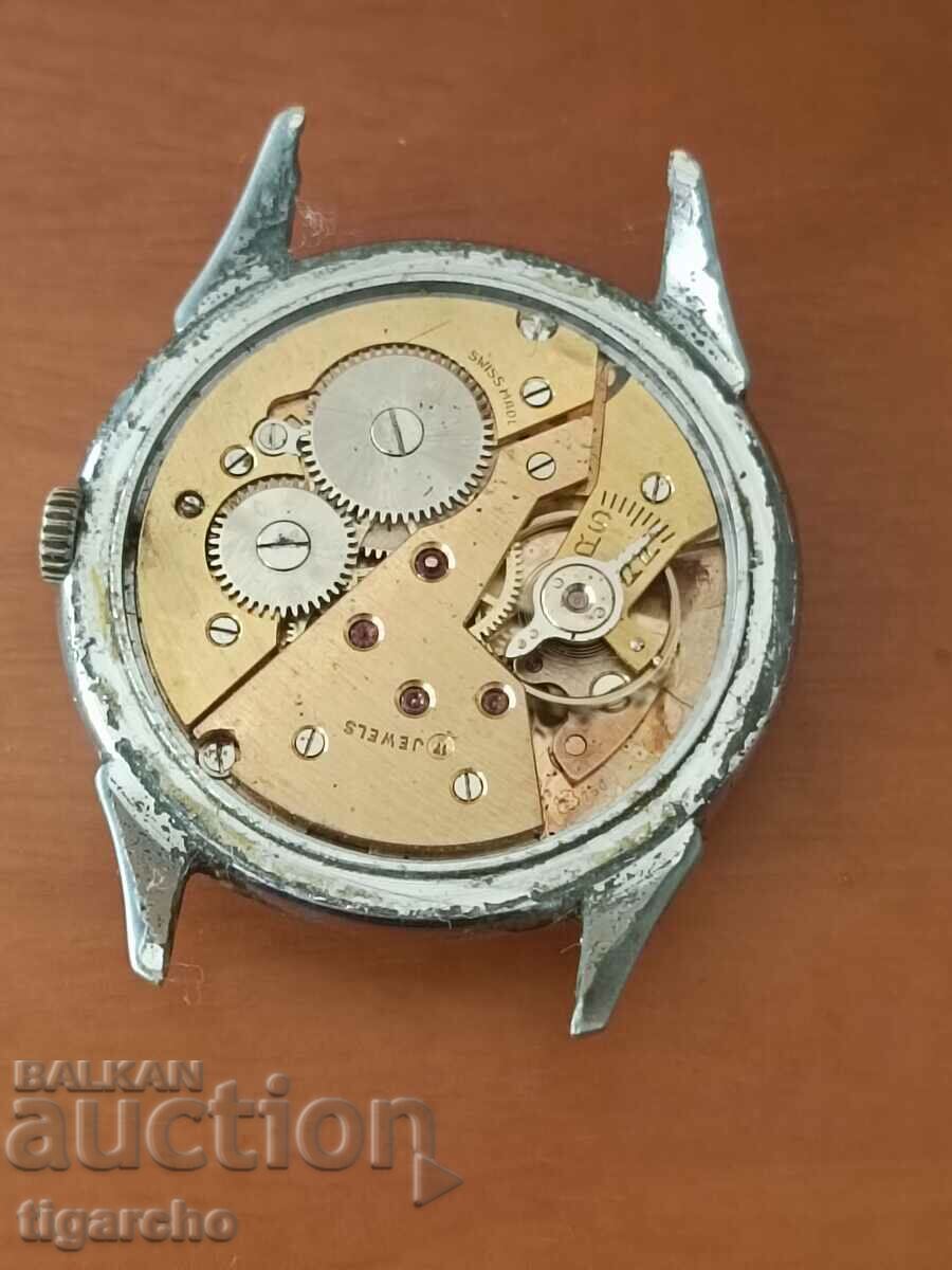 Creation watch - 7 Creation watch - 7