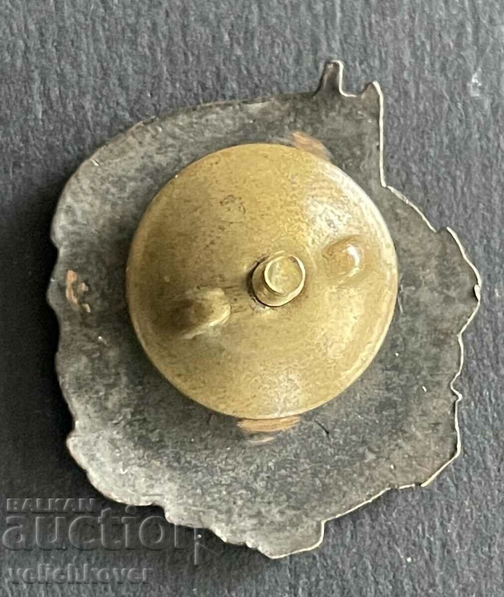 39048 Bulgaria military insignia Total Army competitions 1956 MN with price 25.00 BGN | € 12.78