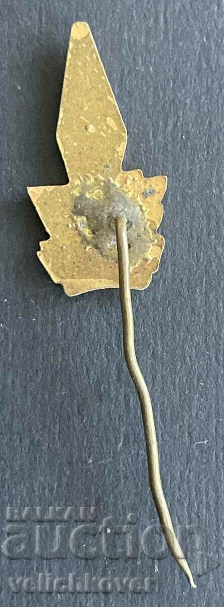 39063 Bulgaria sign DOSO sign for completed course Radio Amateur with price 6.00 BGN | € 3.07