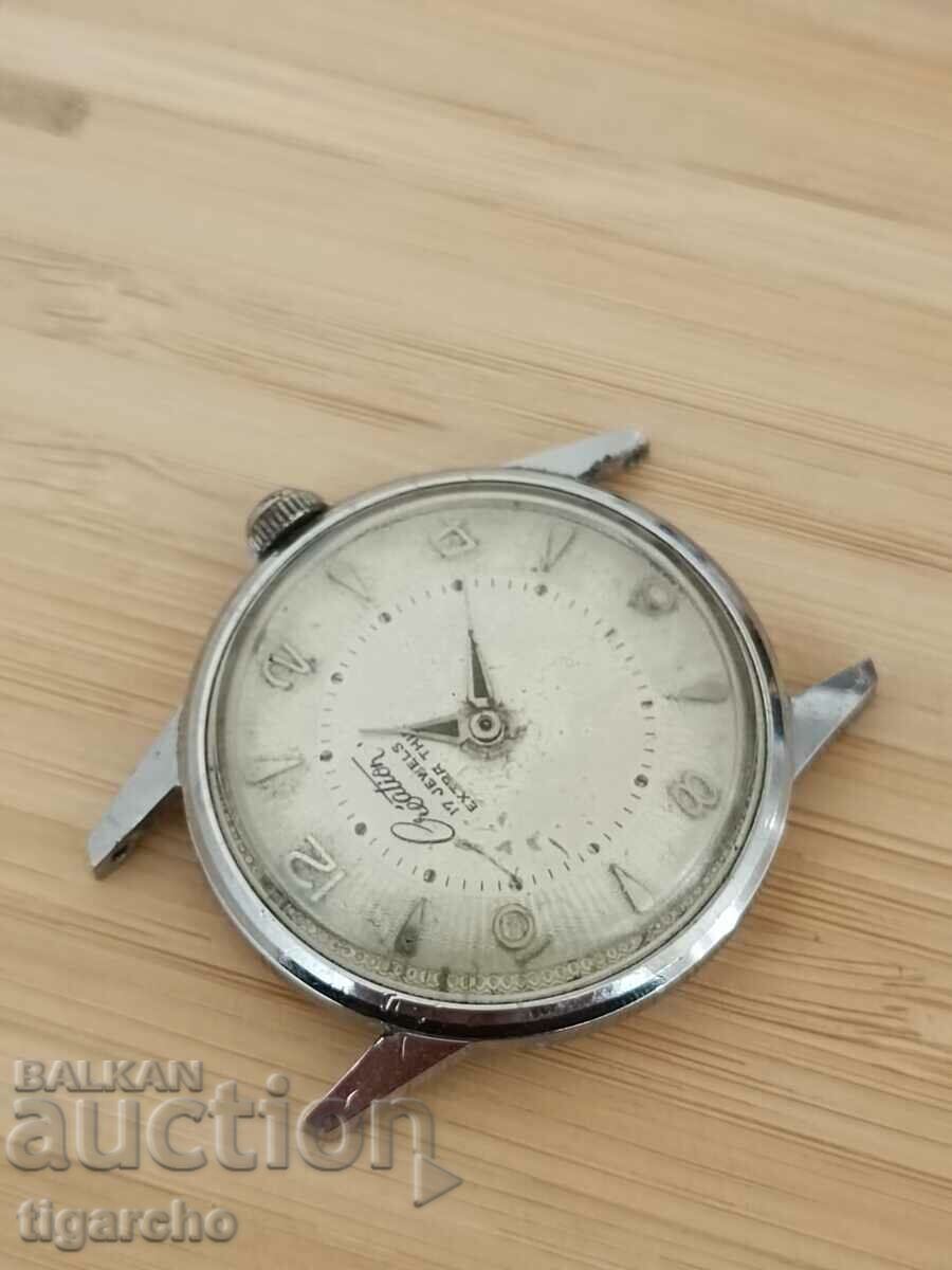 Delivery of Creation watch Delivery of Creation watch