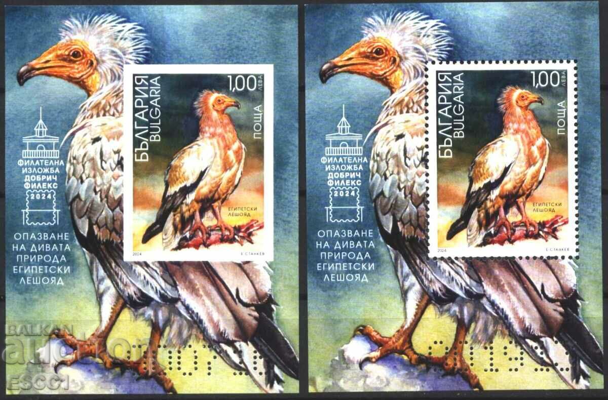 Clean Blocks Fauna Bird Egyptian Vulture 2024 από τη Βουλγαρία