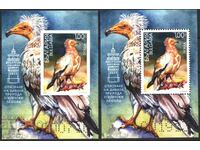 Clean Blocks Fauna Bird Egyptian Vulture 2024 από τη Βουλγαρία