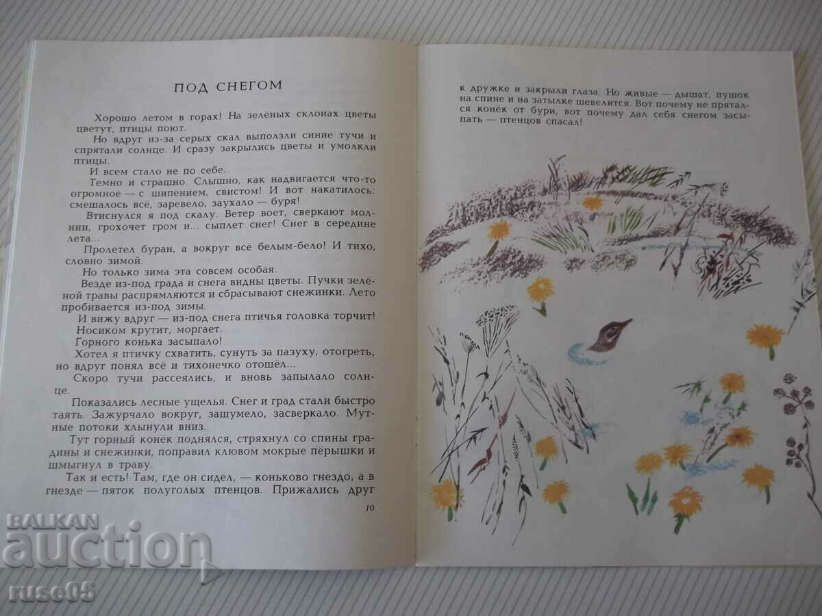Delivery of Book "In the forest - N. Sladkov" - 24 pages. Delivery of Book "In the forest - N. Sladkov" - 24 pages.