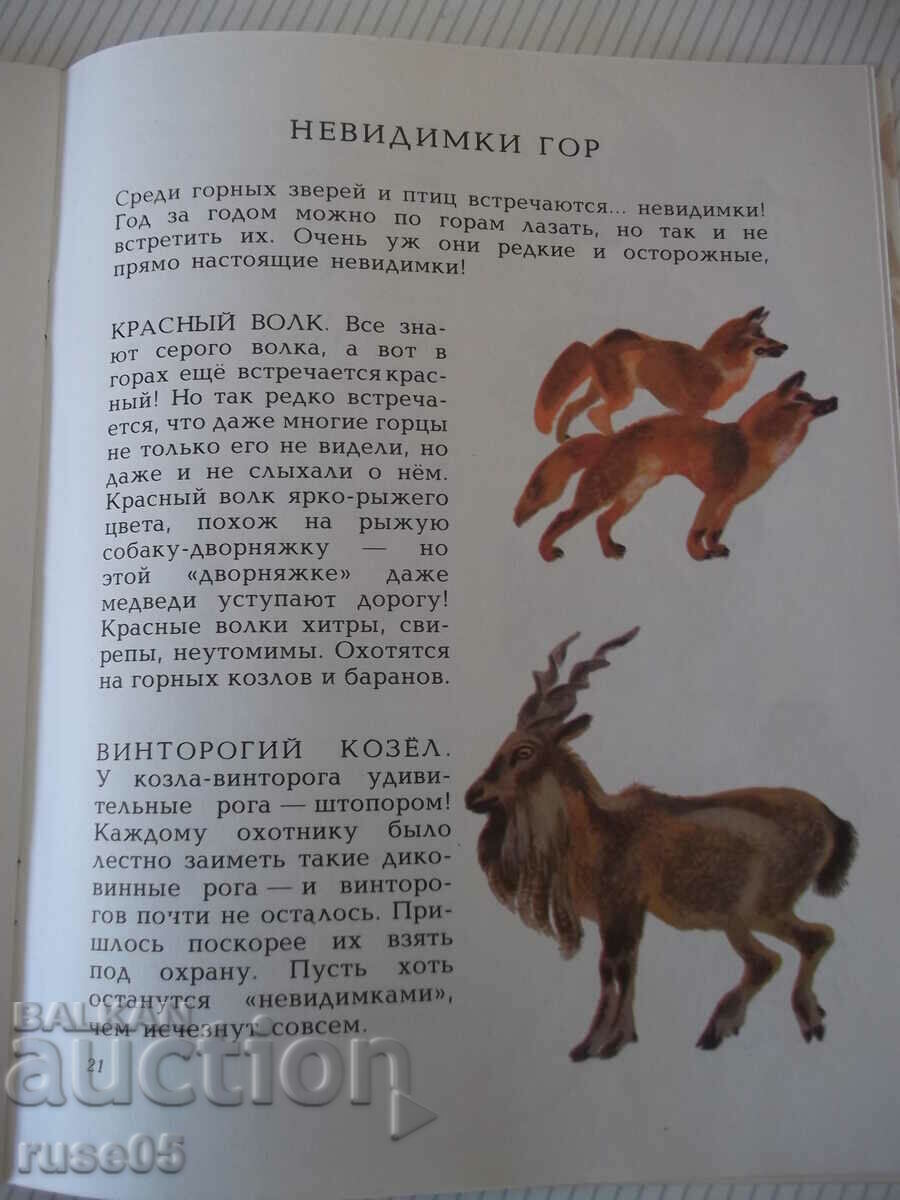 Book "In the forest - N. Sladkov" - 24 pages. - 5 Book "In the forest - N. Sladkov" - 24 pages. - 5