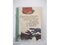 Cartea „Cum a depășit cu deșteptul taharul pe lupul, ursul și iepurele” – 12 pagini.