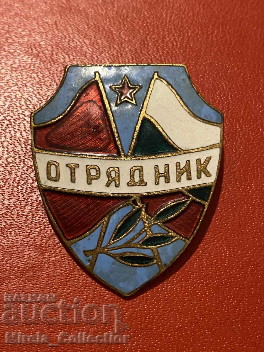 Auction  Badge badge detachment MIA