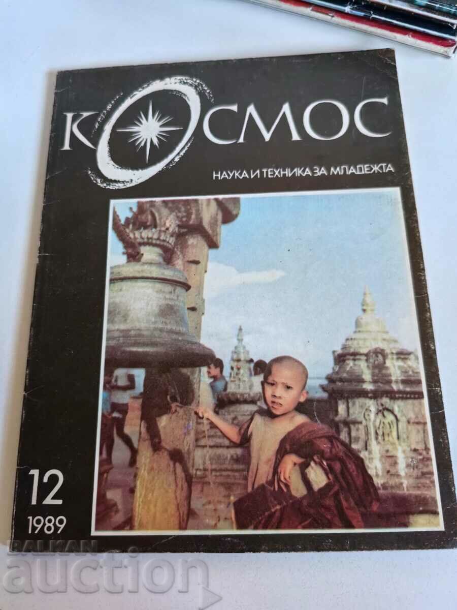 domeniu 1989 SOC JOURNAL KOSMOS