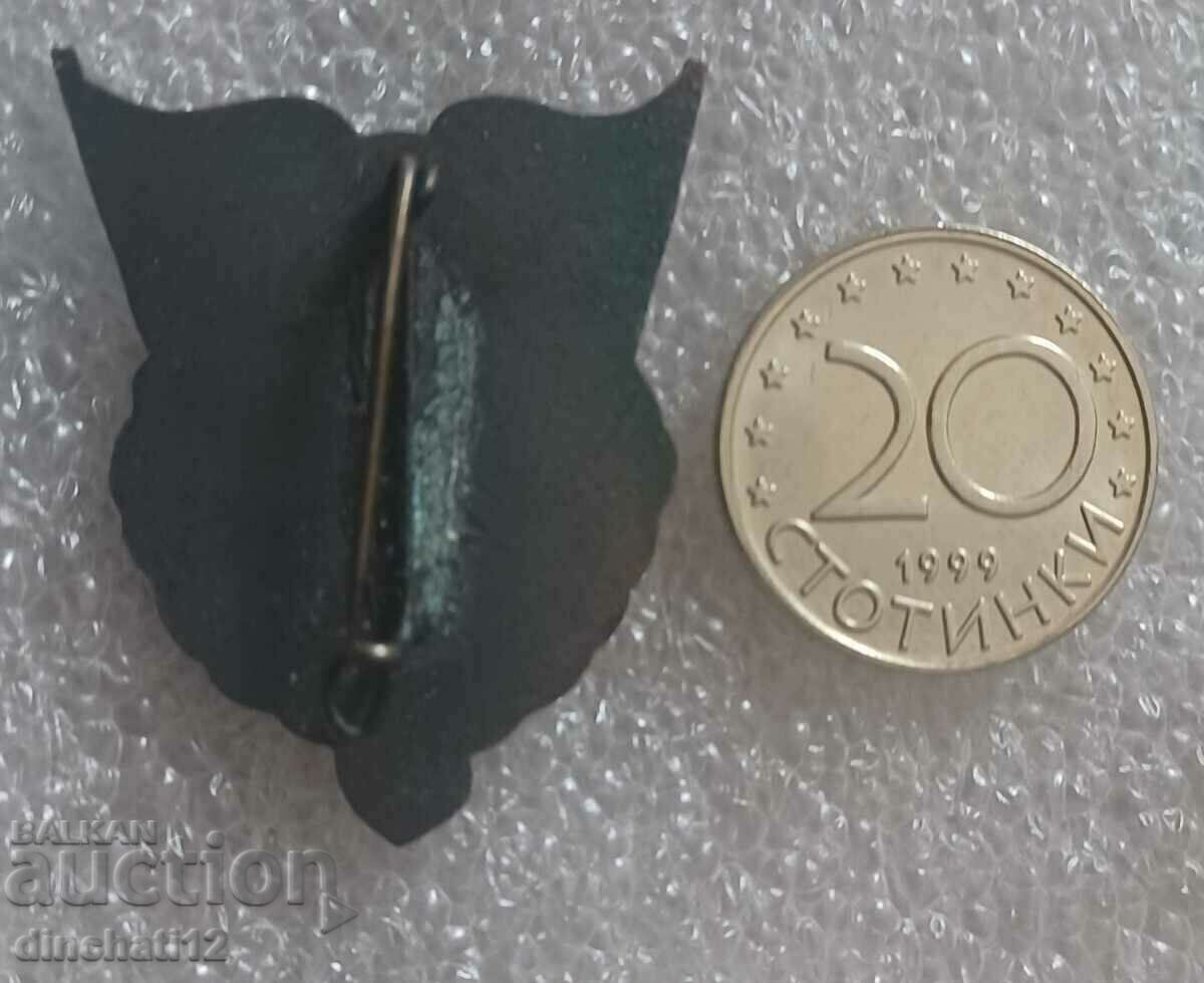 Σημάδι. Abzeichen für gutes Wissen με τιμή 28.00 BGN | € 14.32 Σημάδι. Abzeichen für gutes Wissen με τιμή 28.00 BGN | € 14.32