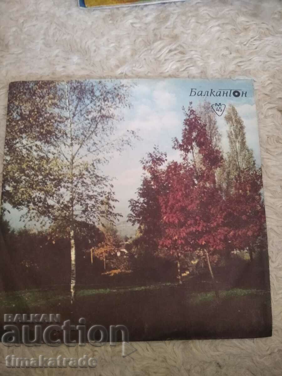 Farfurie 5560 cântece populare sârbeşti