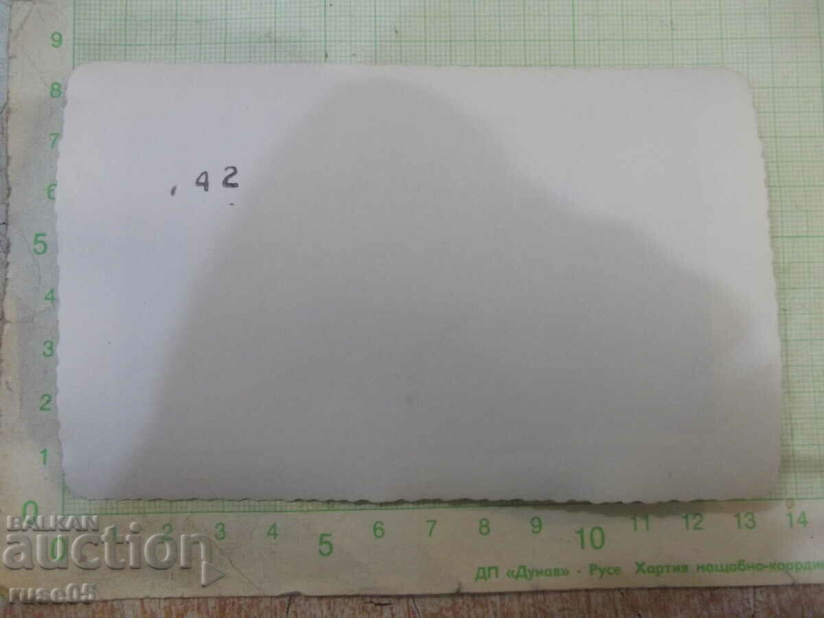 Old photo of a family with a pram in the park with price 2.00 BGN | € 1.02 Old photo of a family with a pram in the park with price 2.00 BGN | € 1.02