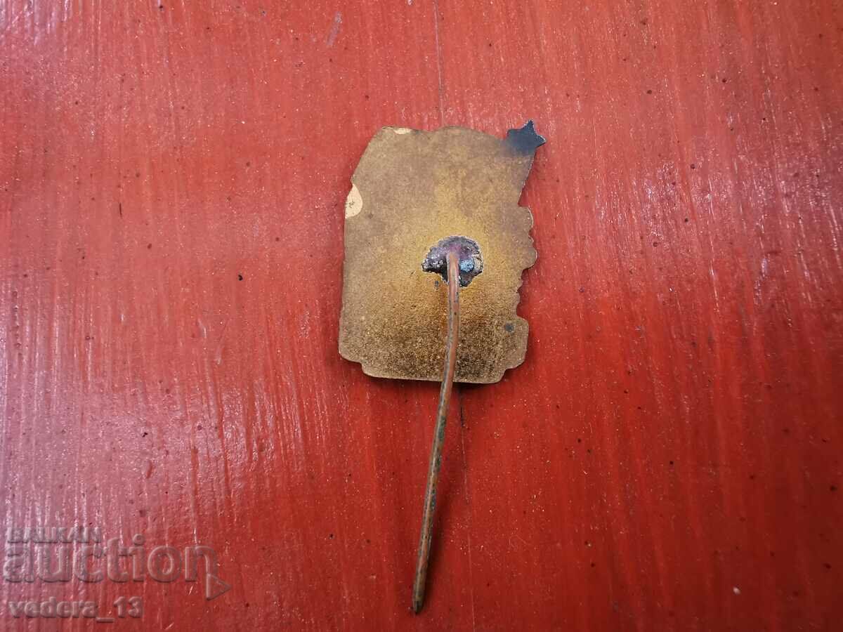 Auction RARE BRONZE BADGE Auction RARE BRONZE BADGE