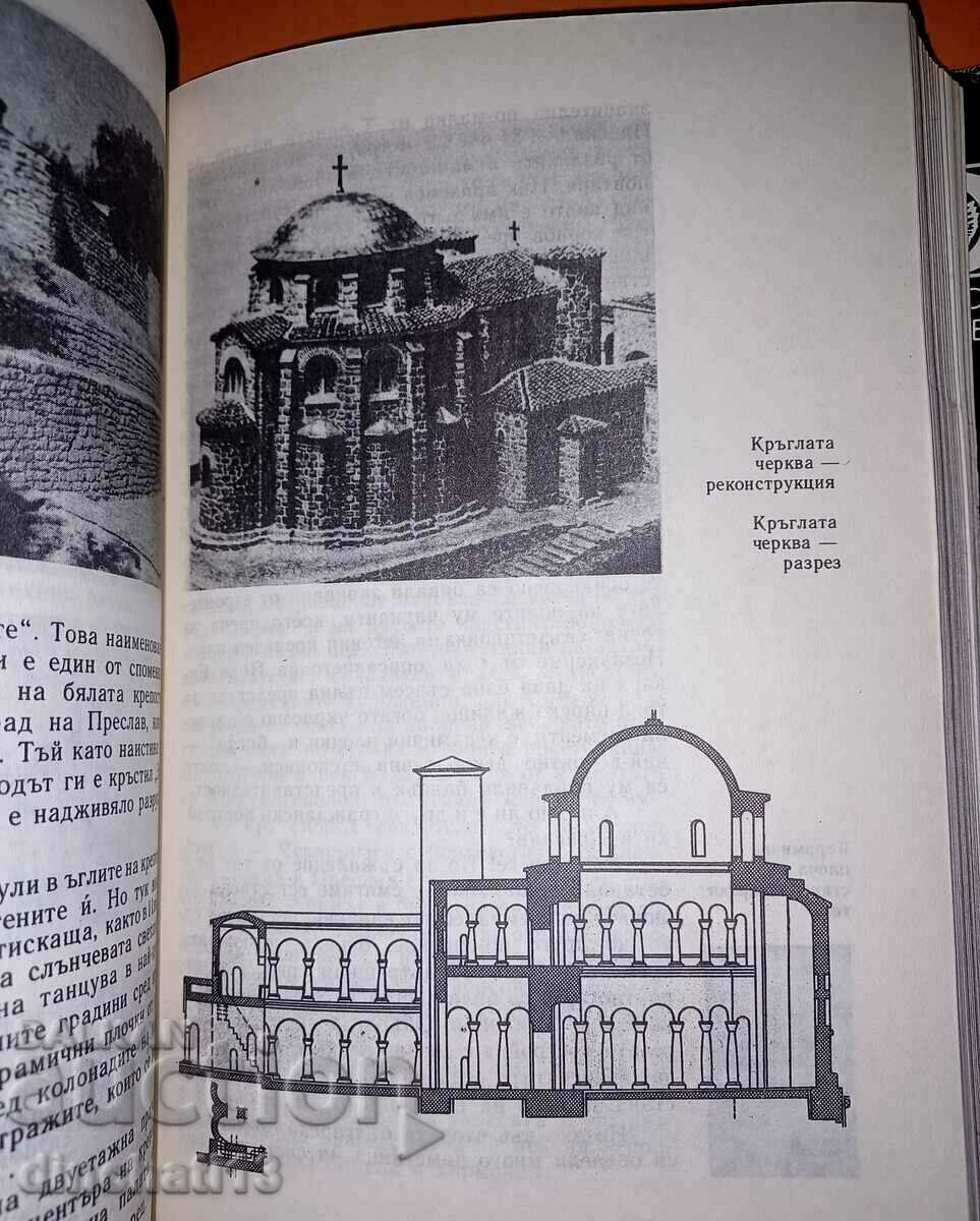 Доставка на Вечно зеленото клонче: Драган Тенев. Архитектура Доставка на Вечно зеленото клонче: Драган Тенев. Архитектура