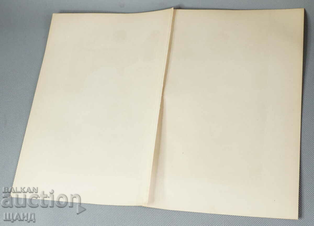 1900 Afiș litografie rase de câini - 5 1900 Afiș litografie rase de câini - 5