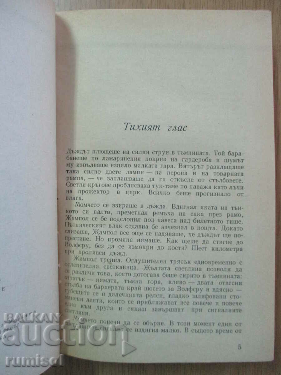 Auction Owl Swamp - Horst Bezeler Auction Owl Swamp - Horst Bezeler