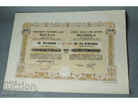 1924 Share Musala Joint Stock Company BGN 10,000