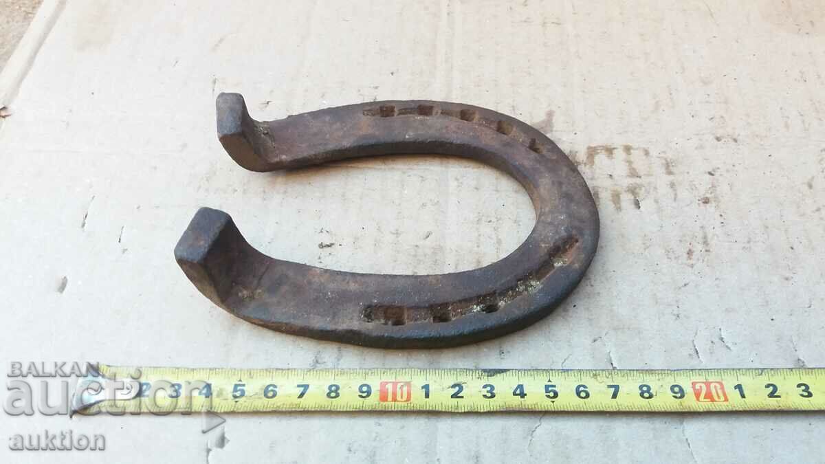 Delivery of A MASSIVE HORSESHOE