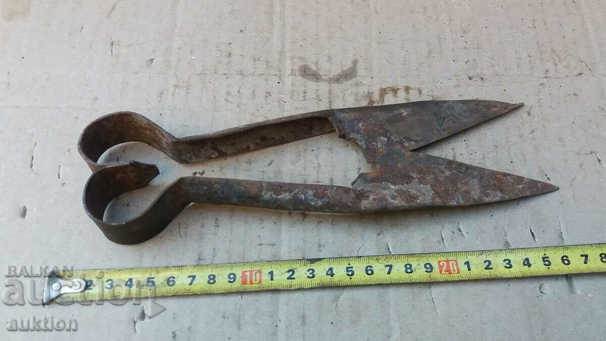 Delivery of OLD SHEEP SHEARS Delivery of OLD SHEEP SHEARS