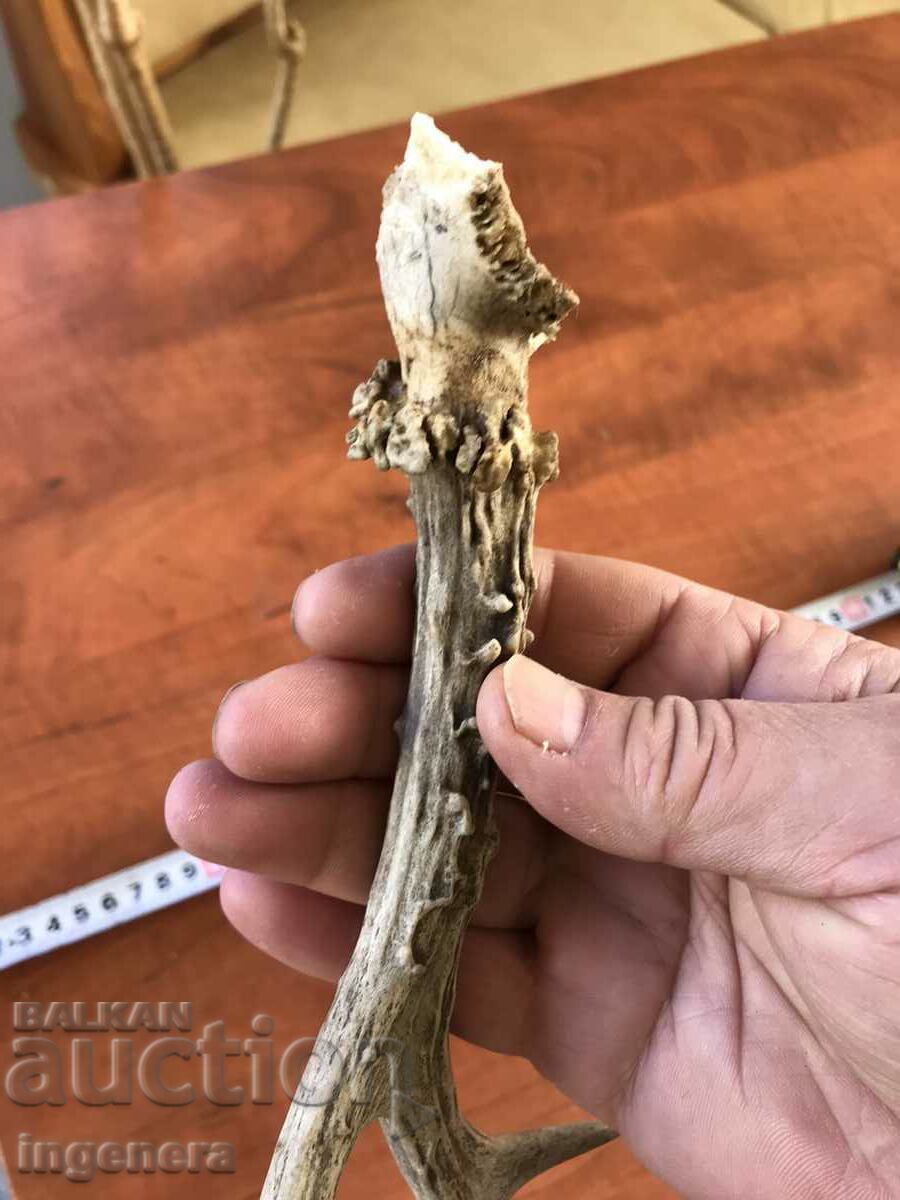 Παράδοση ROG SARANDAK SARANDAK ΓΙΑ ΛΑΒΗ ΜΑΧΑΙΡΙΟΥ Ή ΣΤΟΛΙΔΙ Παράδοση ROG SARANDAK SARANDAK ΓΙΑ ΛΑΒΗ ΜΑΧΑΙΡΙΟΥ Ή ΣΤΟΛΙΔΙ