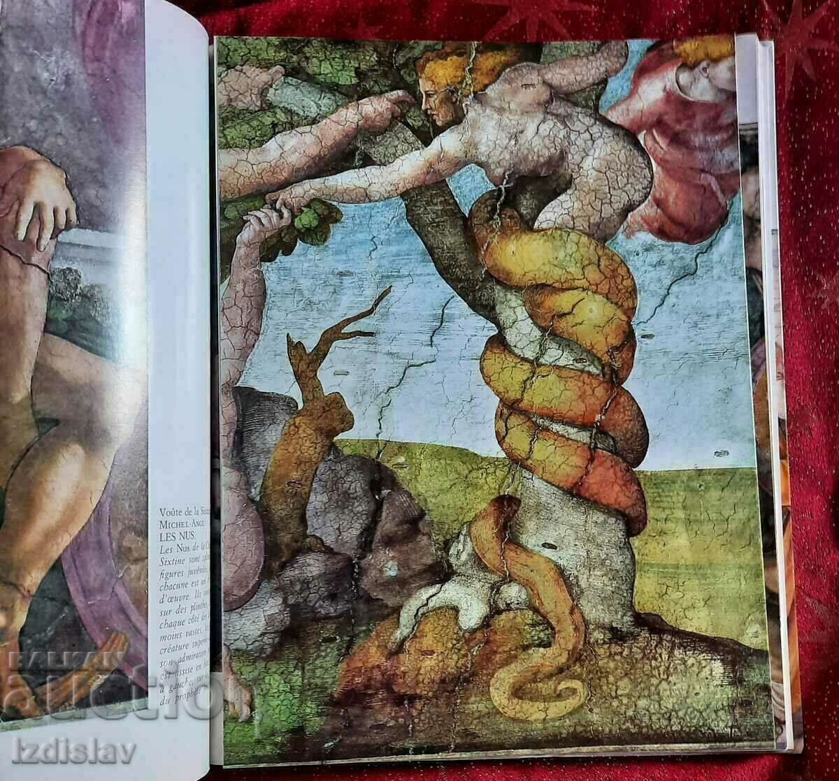 Luxury album for Michelangelo and Raphael - 7 Luxury album for Michelangelo and Raphael - 7