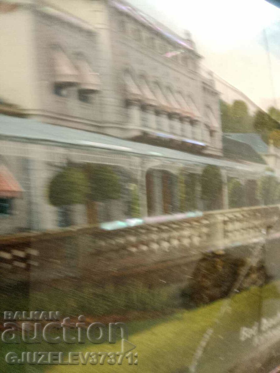 Auction Germany 1920-souvenir picture, card, photo with mother-of-pearl Auction Germany 1920-souvenir picture, card, photo with mother-of-pearl