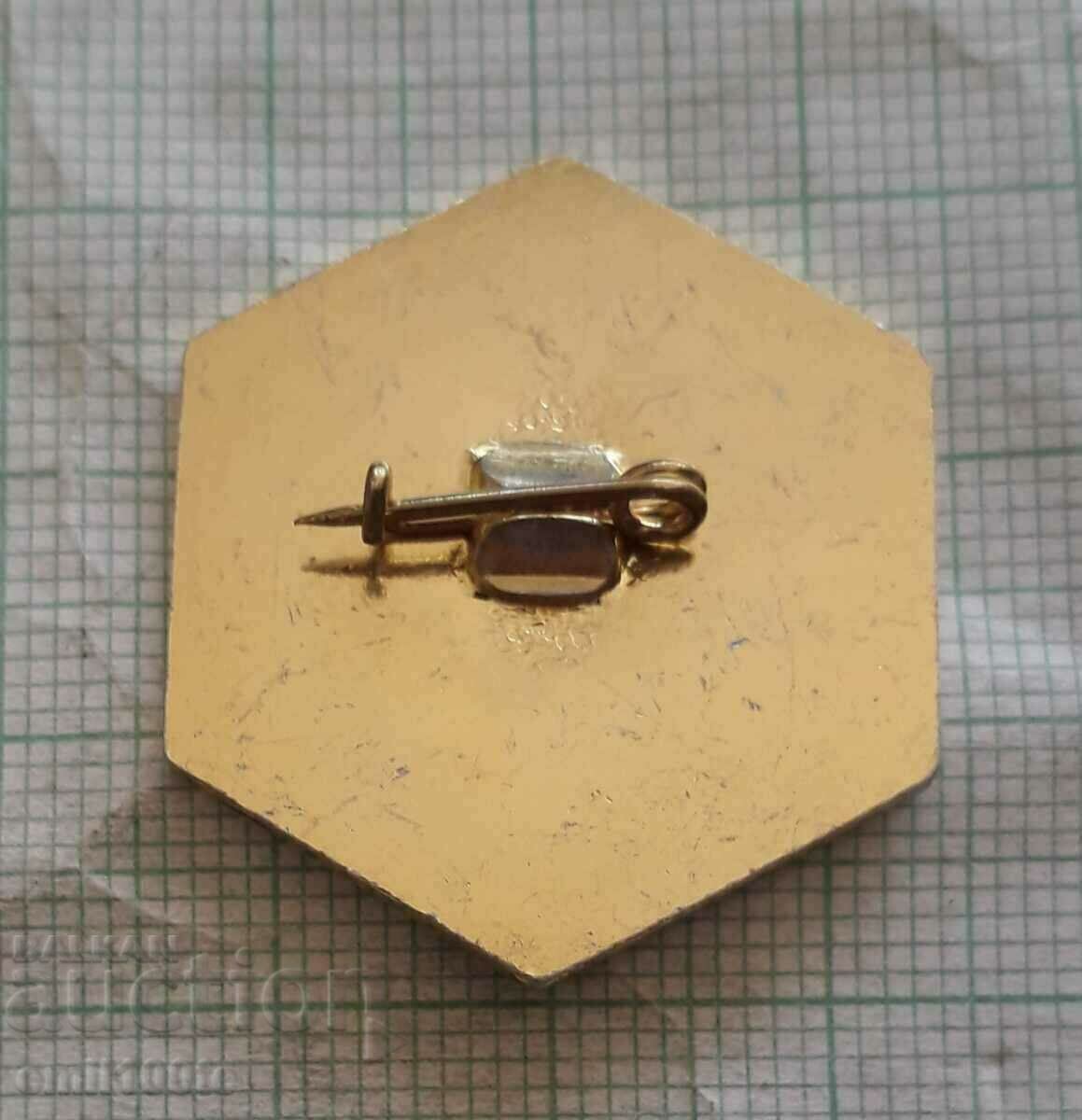 Badge - First National Congress of Beekeeping Veliko Tarnovo 1991 - 5 Badge - First National Congress of Beekeeping Veliko Tarnovo 1991 - 5