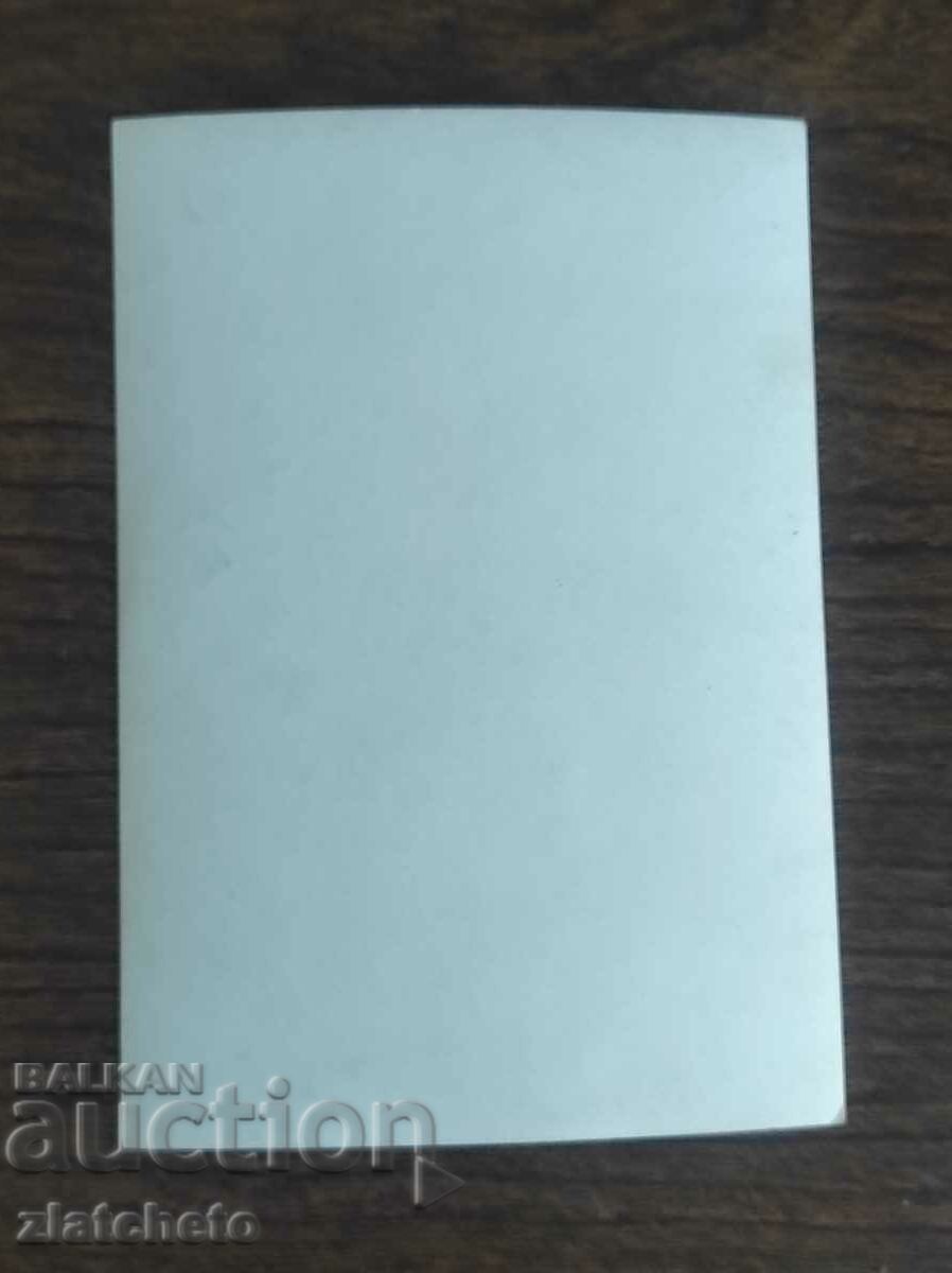 Auction  Autograph -