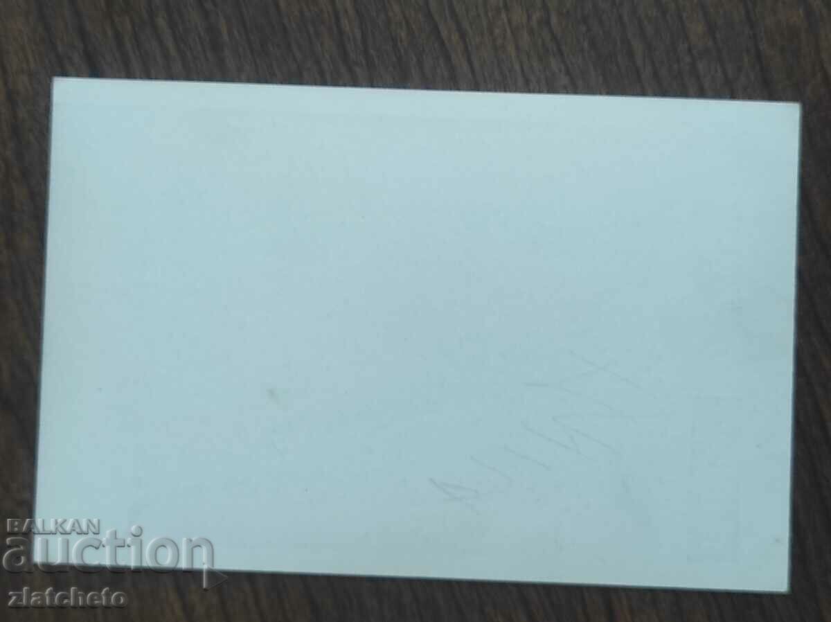 Auction  Autograph -