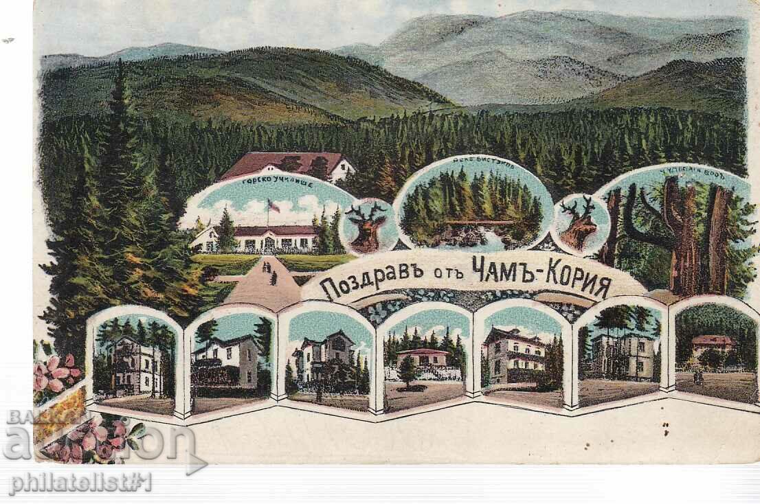 CHAM KORIA BOROVETS GRUSS AUS MAP CHROMOLITHOGRAPHY from 1924.