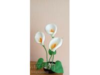 Calla - floare decorativă