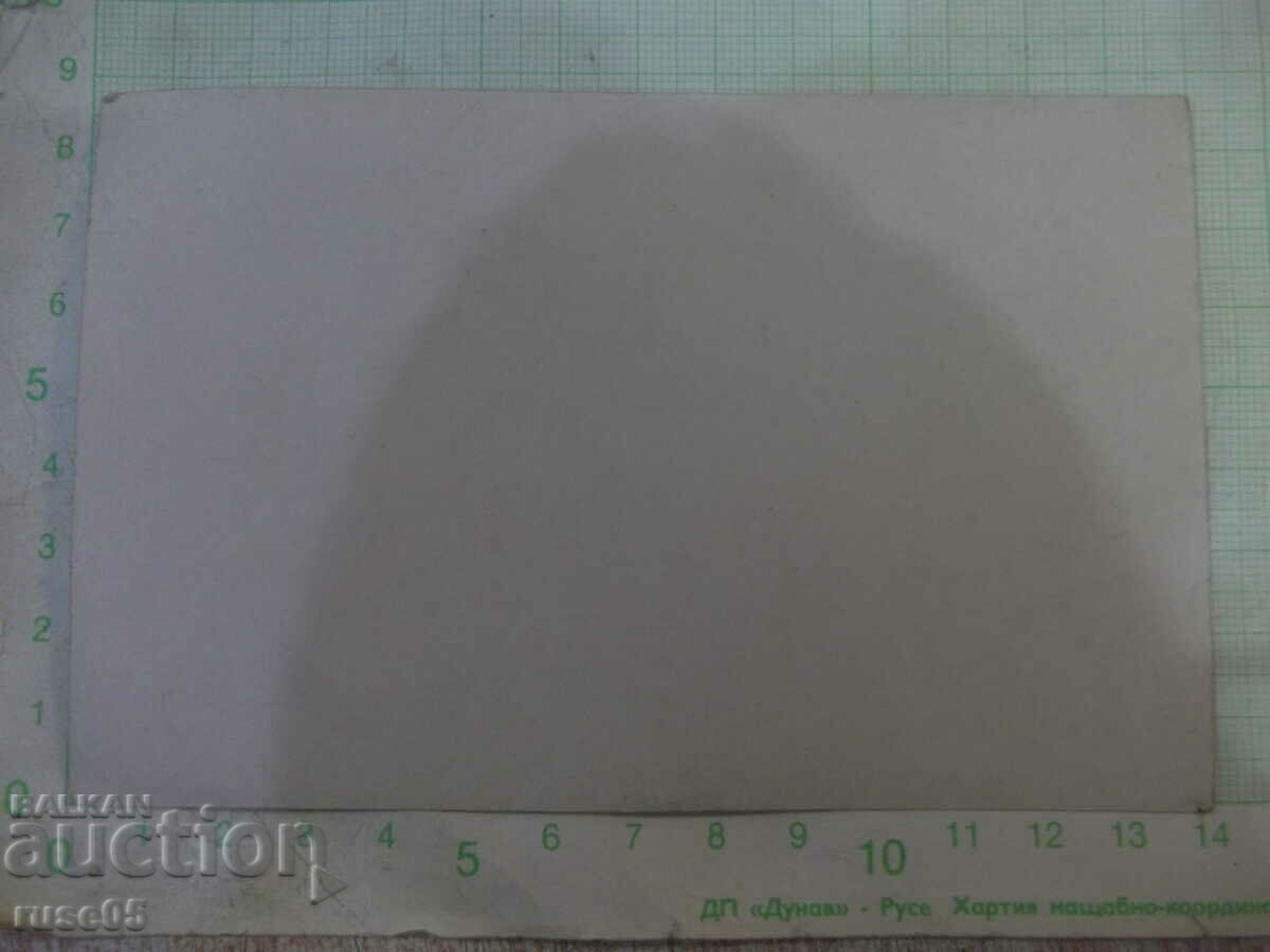 An old photo of a group of young people on an outing in nature with price 5.00 BGN | € 2.56 An old photo of a group of young people on an outing in nature with price 5.00 BGN | € 2.56