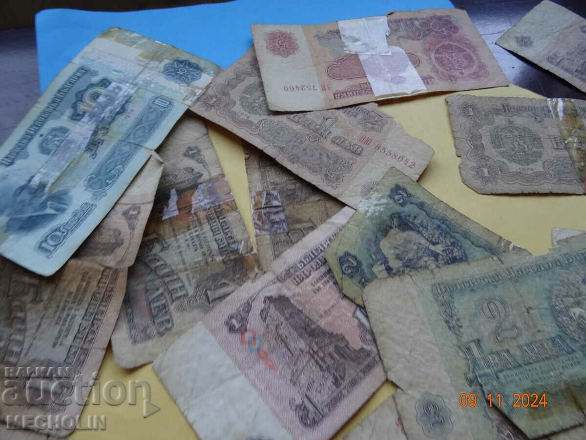 OLD LION LOT - 5 OLD LION LOT - 5