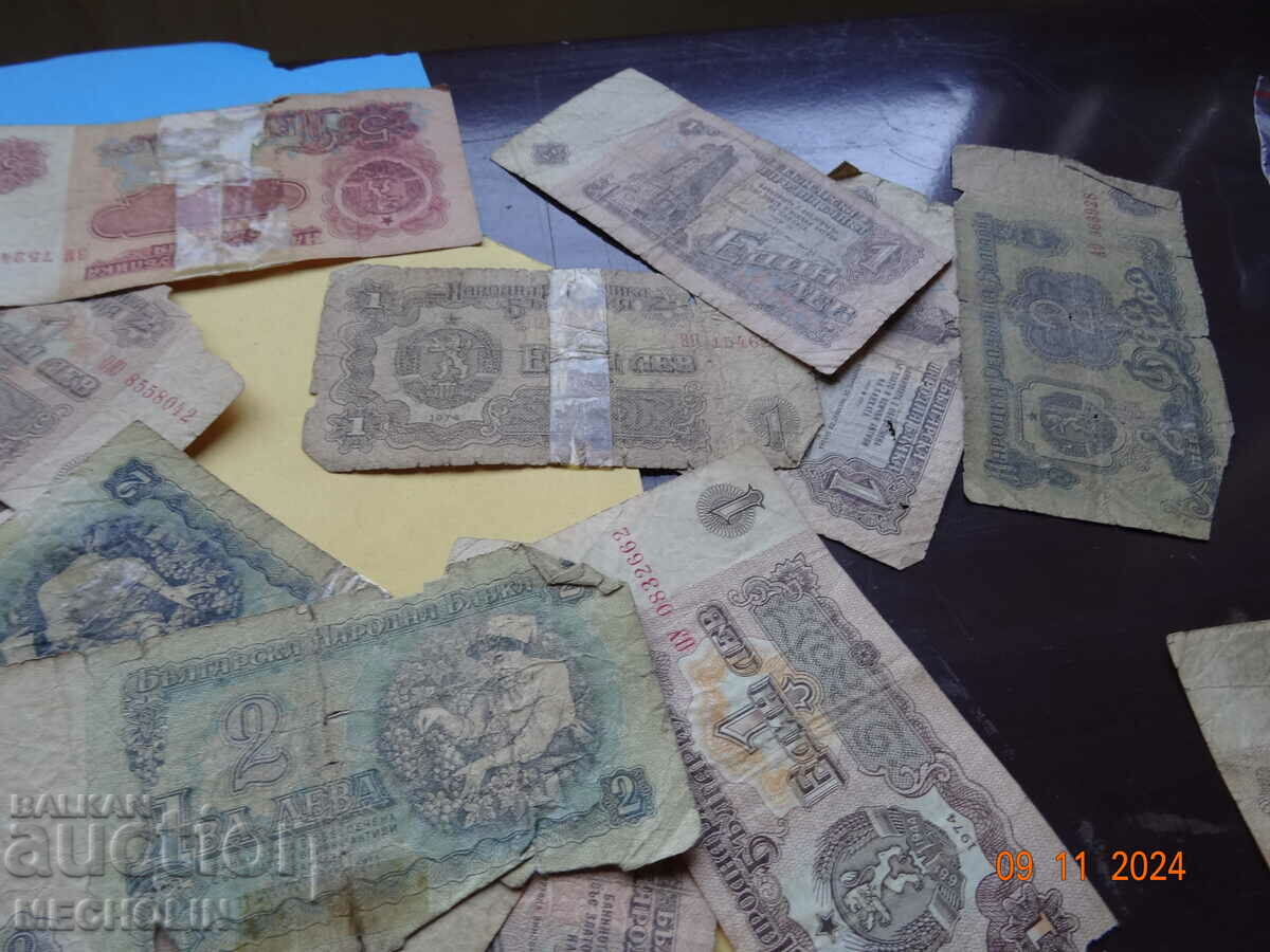 OLD LION LOT - 6 OLD LION LOT - 6