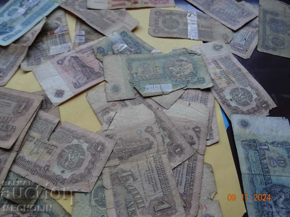 OLD LION LOT - 7 OLD LION LOT - 7